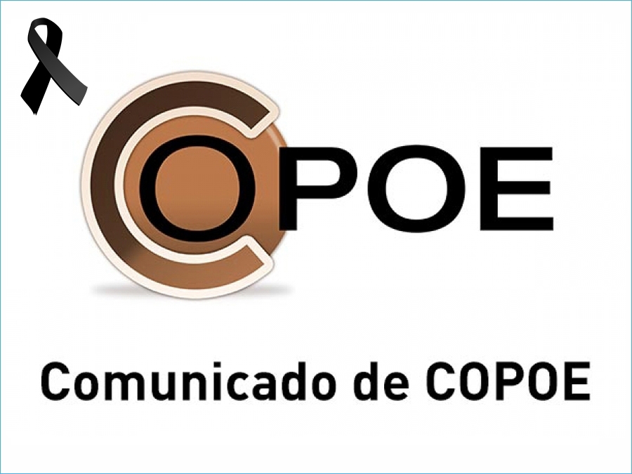Comunicado de COPOE ante la trágica noticia del suicidio de una alumna en Madrid